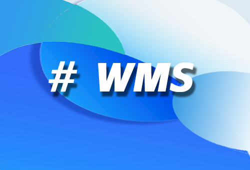 WMS