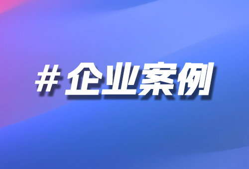 企業(yè)案例